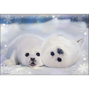 �W�O�\�[�p�Y�� 300�s�[�X �A�U���V�̗c�t�� 26×38cm 300-190