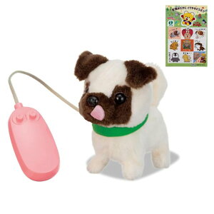 yǂԂXebJ[tzRł LLpO dʂ