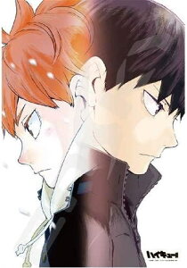 �W�O�\�[�p�Y�� 300�s�[�X �n�C�L���[!! ��l�̌��� 26×38cm 300-1532