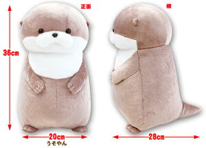 JE\BIG  ʂ S36cm 702934