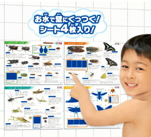 łĂIӂŃX^fBIw̐}LIVE@CV