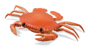 ���F�� �����J�j���� �J�j �d��IRC