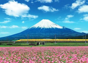 WO\[pY 500s[X {i hN^[CG[ƕxmR|É 38×53cm 06-401s