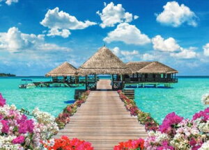 WO\[pY 500s[X Ei OWA[^C|fBu 38×53cm 06-308s