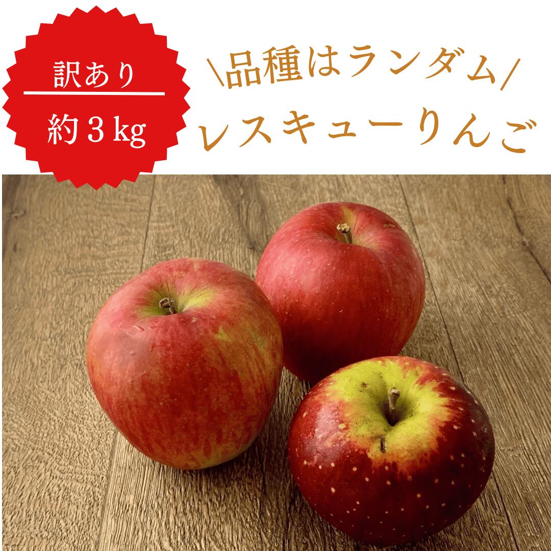 訳ありレスキューりんご 約3kg 長野県産 家庭用  品種混合 果物 フルーツ