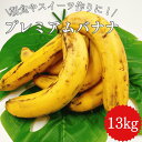 もったいないバナナ 13kg(約70本) フィリピン産 家庭用 果物 フルーツ【順次出荷】