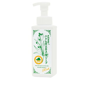 ̂܂܁IngMGLX A\[v b` 500mL XLPA ͂ƂނizցEzsj