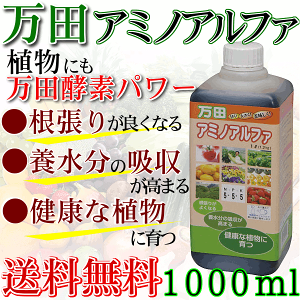 【肥料】【送料無料】植物本来の生命力を引き出す!万田アミノアルファ1000ml万田酵素アミノアルファ1L【ガーデニング/活性剤/液肥/肥料/液体肥料】【RCP】【0530pe_fl】【532P19Apr16】あす楽対応