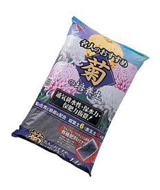 楽天市場 クッションマムの通販