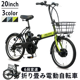 電動自転車 折りたたみ 20インチ 外装6段変速付き 簡易組立必要品 TDN-208L 自転車 折り畳み 折り畳み自転車 電動アシスト 20インチ サイクル PELTECH 【TD】【代引不可】