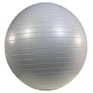 oX{[65cm 23-188  C ɂ tBbglX _CGbg N ̊g[jO GNTTCY Xgb` g[jO g  S[h Vo[ A