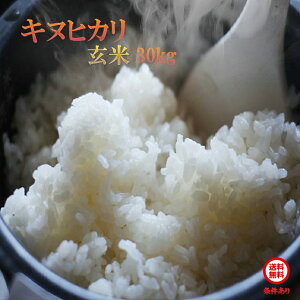 キヌヒカリ 30kg」の人気商品一覧・価格比較 - 価格.com