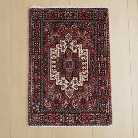 高級ペルシャ絨毯ビジャー 90×62cm（FS-22187）