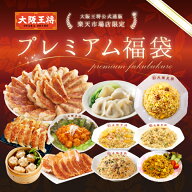 【5000円オフクーポンで13260円→8260円】＜大阪王将 選べるプレミアム福袋＞送料無料 冷凍食品 ギョウザ…