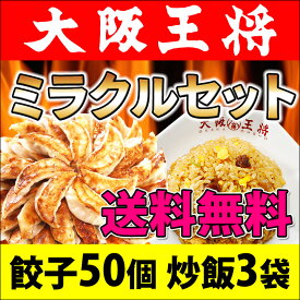 【おまけ特典】＜大阪王将ミラクルセット＞送料無料 冷凍食品 チャーハン 餃子 冷凍餃子 通販 お取り寄せ お取り寄せグルメ 中華 仕送り レンチン 簡単調理 福袋 プレゼント ぎょうざ ギョウザ ギョーザ 炒飯 プレゼント お中元