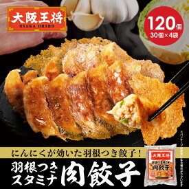 【期間限定30％OFFクーポン！5580円→3906円】＜大阪王将 羽根付きスタミナ肉餃子120個セット＞ 羽根つき餃子 餃子 冷凍食品 ギョウザ 冷凍餃子 ぎょうざ お取り寄せ グルメ