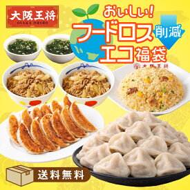 ＜大阪王将 おいしい！フードロス削減エコ福袋＞送料無料 冷凍食品 チャーハン 炒飯 ギョウザ 餃子 通販 お取り寄せ お取り寄せグルメ 中華 仕送り レンチン 簡単調理 備蓄 テレワーク 簡単 惣菜 手間抜き料理