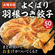 ＜大阪王将 よくばり羽根付き餃子＞ 羽根つき餃子 冷凍食品 餃子 冷凍餃子 ギョウザ ぎょうざ 羽根付き餃…