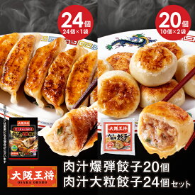 【期間限定30％OFFクーポン！4792円→3354円】＜大阪王将 肉汁爆弾餃子20個+肉汁大粒餃子24個＞ 冷凍食品 餃子 冷凍餃子 ギョウザ ぎょうざ 肉餃子 お取り寄せ グルメ