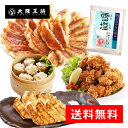 楽天市場 大阪王将セレクション 大阪王将 公式通販 餃子 焼飯