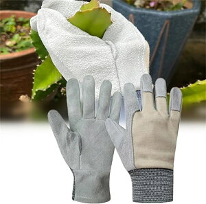 |p v K[fO[u op ϐh gQh~ hȂ v ~ ʋC _ d  op Ɨp K[fjOpi