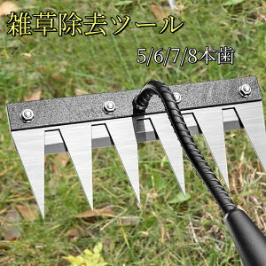 Gc[ 背[L F  v[ XeX|  K[f[L XeX  G G G΍ 蓹 K[fjO  t| c Ő 