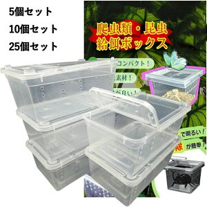 P[X ^ Rei {bNX Ct 11cm 19cm  E c ɐB