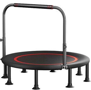 g|  É 8{r ω׏d300kg 肷O 100cm 40C`