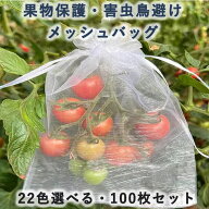 果物袋 100枚セット 果物 果実保護 ネット 多機能 メッシュバッグ 巾着袋 果実袋 果物保護ネット 害虫鳥…