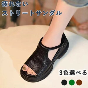 Xg[gT_ I[vgDEFbW\[T_ fB[X 5cm ̌ xNfUC 4E  [} r Ȃ ~ JWAT_ K t ʋ T