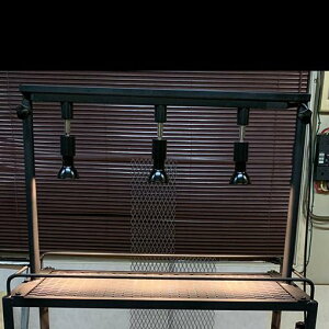 _Ng[ Pi ti  CeBO[ AI \PbgAdȂ