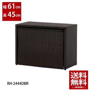 61cmyBi@AEgbgiz@[Ɂ@45cm@RH-2444DBRgȂȎ[Ɂo@i@rO@[@@bN@S@@[Ɂ@