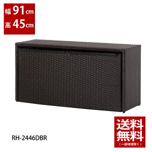 91cmyBi@AEgbgiz@[Ɂ@45cm@RH-2446DBRgȂȎ[Ɂo@i@rO@[@@bN@S@@[Ɂ@