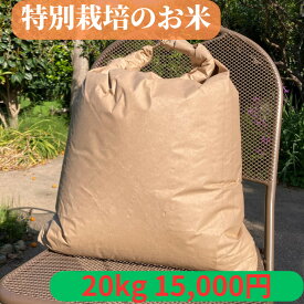 米20kg 【特別栽培作物】玄米 愛知県産
