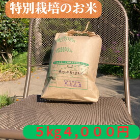米 5kg 【特別栽培作物】玄米 愛知県産