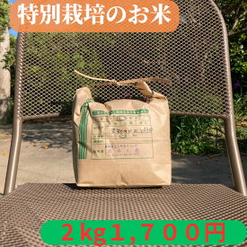 お米　2kg　【特別栽培作物】　愛知県産　玄米