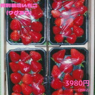 訳ありいちご　特別栽培　ご家庭用におすすめ　愛知県産　ゆめのか　フルーツ　1kg(250g×4パック)【送料…