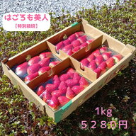 特別栽培 いちご　身内へのギフト・贈答、うち使い用　1箱1kg(250g×4パック) はごろも美人　愛知県産　…