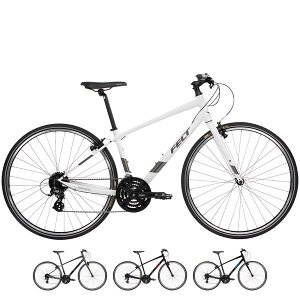 FELT tFg 2023Nf VERZA SPEED 50 xUXs[h50 NXoCN