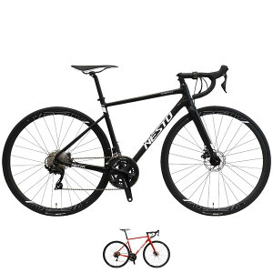 ݌ɃZ[ NESTO lXg 2025Nf ALTERNA DISC I^i fBXN [hoCN