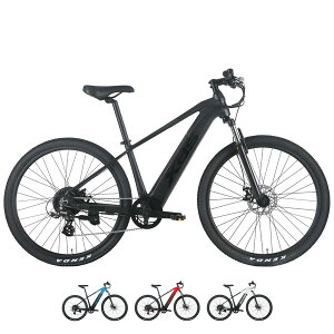 XDS GbNXfB[GX ADVANCE 800 AhoX800 27.5 E-MTB EoCN