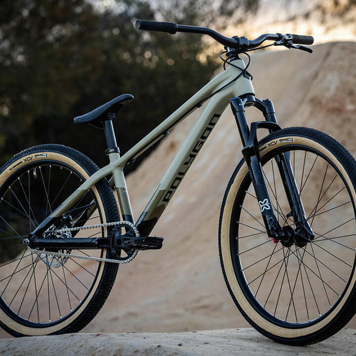 楽天市場】新生活応援セール POLYGON ポリゴン TRID トリッド 26インチ 