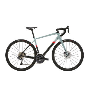 労ӃZ[ FELT tFg 2024Nf VR ADVANCED ULTEGRA Di2 [hoCN (Ԍ著/ꕔn揜)