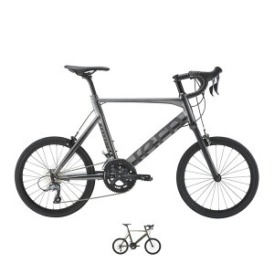 TERN ^[ 2025Nf Surge T[W J[ 20C`(451) 2x8s a ~jx