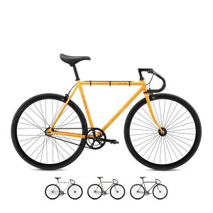 FUJI tW 2025Nf FEATHER tFU[ VOXs[h