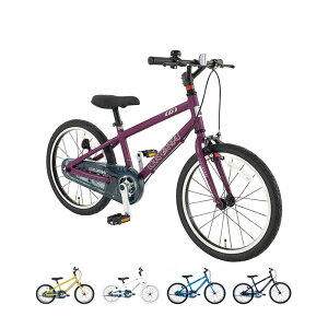 LOUIS GARNEAU CKm K18 lite BAA-O K18Cg BAAK 18C` qp]