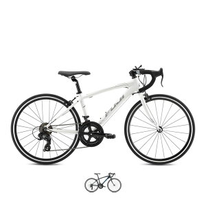 FUJI tW 2026Nf ACE 24 G[X24 2x7s 24C` WjA[h qp]