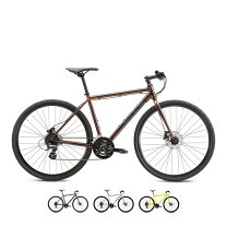 楽天市場】fuji raiz disc 17の通販