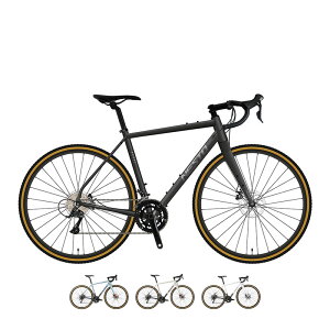 NESTO �l�X�g 2026�N���f�� GAVEL �K�x�� 2x9s �O���x�� ���[�h�o�C�N