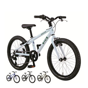 GIOS WIX 2025Nf GENOVA 20 WFmA20 1x6s 20h qp]